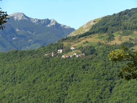 Colli di Capricchia e le Apuane
