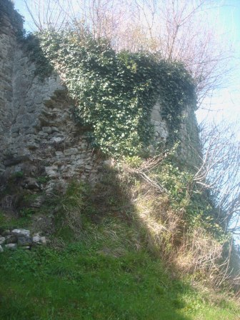 Tower of the Belvedere