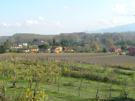 Carignano