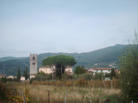 Saltocchio