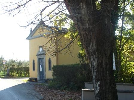 Vallebuia