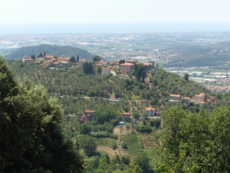 Luciano