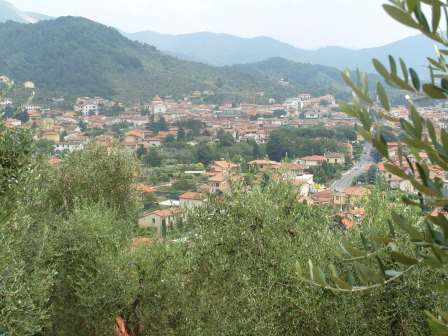 Massarosa