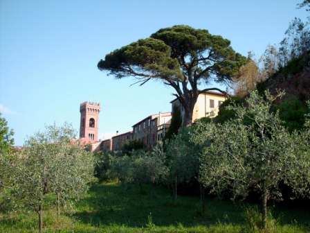 Montecarlo