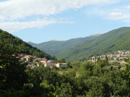 Cogna