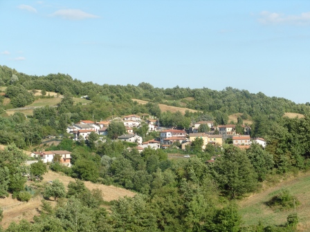 Colognola