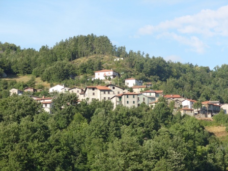 Petrognola