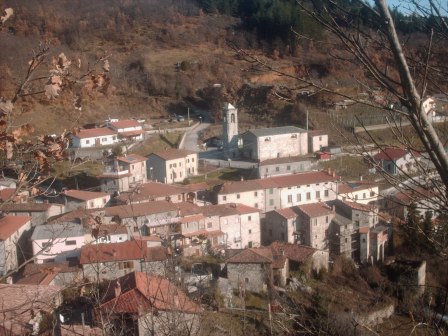 S.Donnino