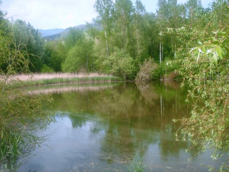 Il lago alle sorgenti termali di Pieve Fosciana