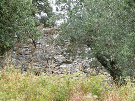 Rocca di Corvaja