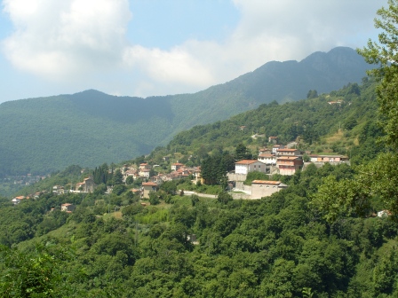 Terrinca