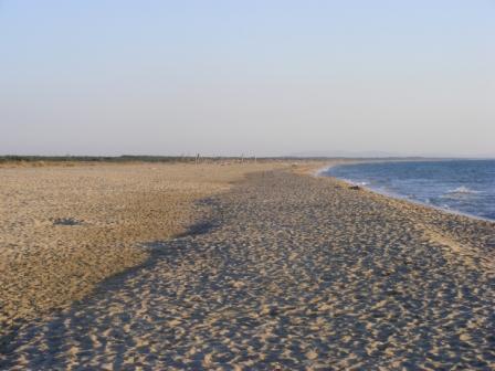 The Darsena of Viareggio