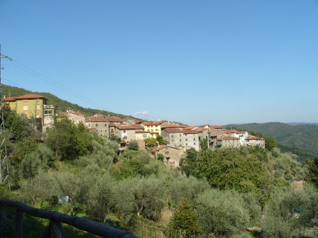 Pariana