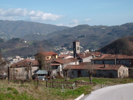 Antisciana