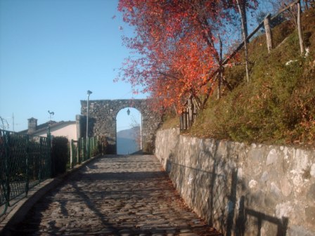 door "Ponte"
