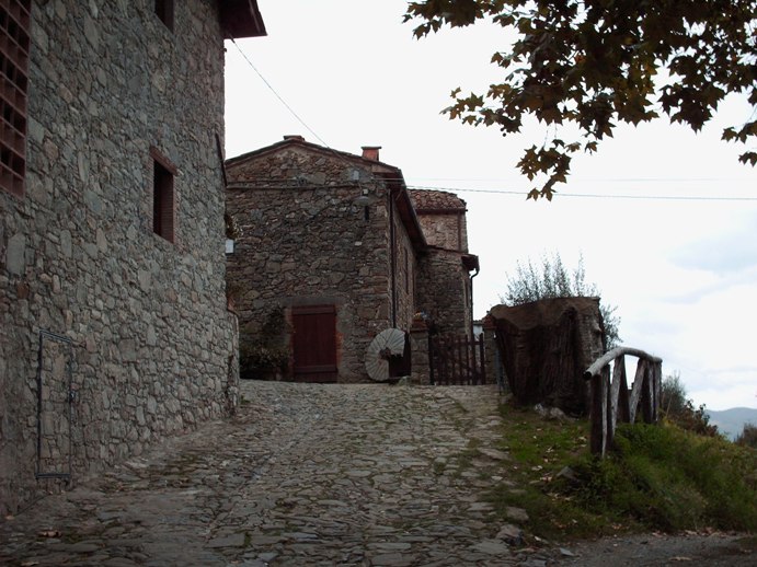 Museo del Castagno