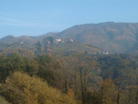 Perpoli