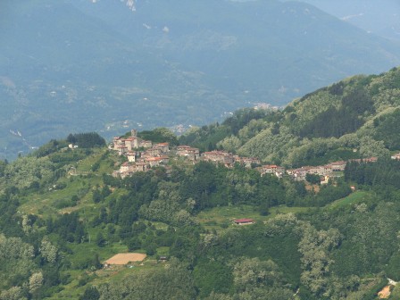 Vitiana